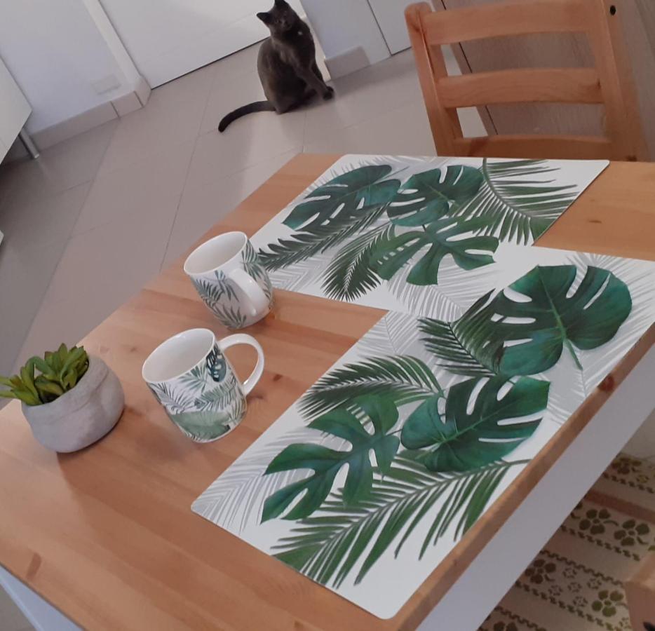 Casa Tavio 6 Casa Tavio 7 Apartman Costa Del Silencio Kültér fotó